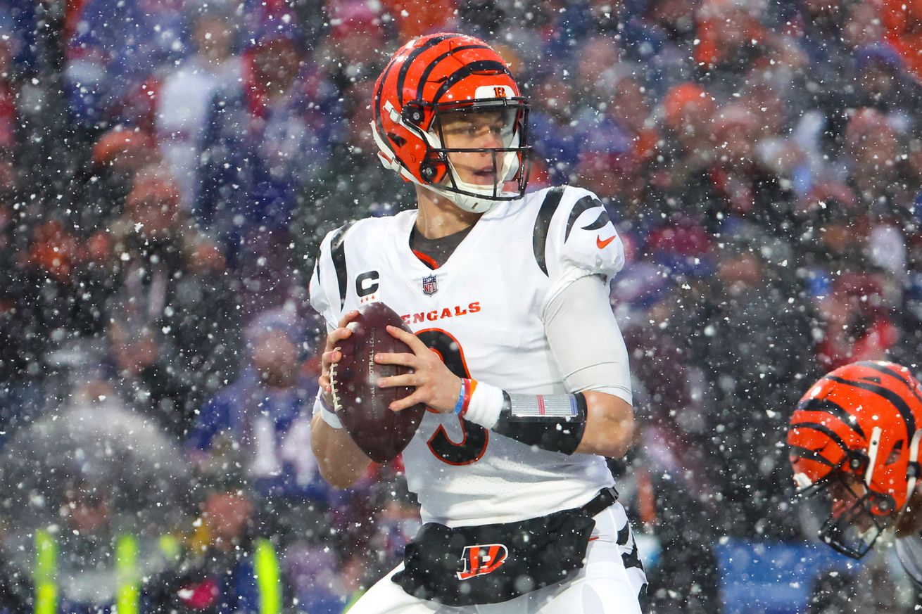 AFC Divisional Playoffs - Cincinnati Bengals v Buffalo Bills