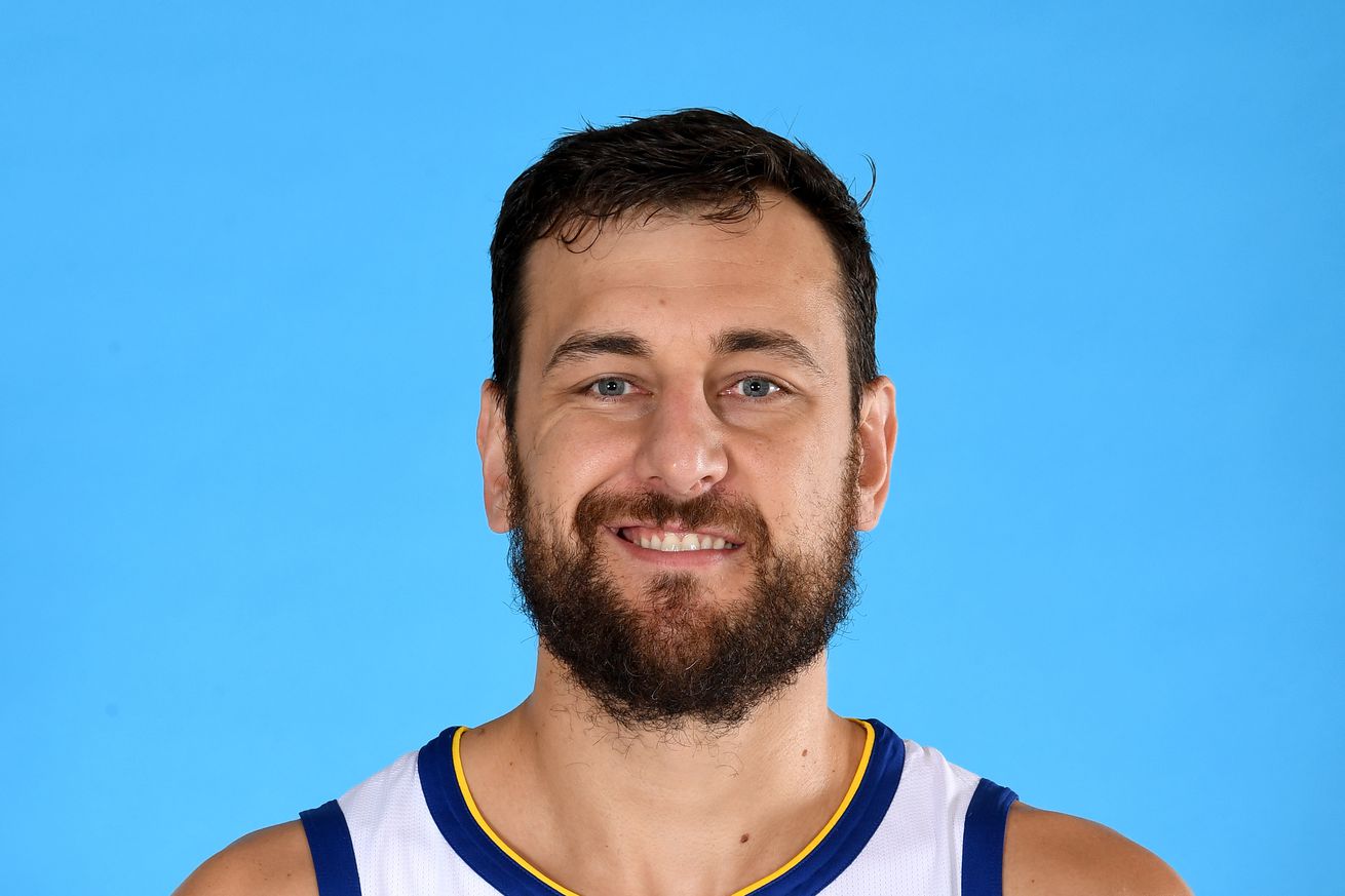 Andrew Bogut Golden State Warriors - Portraits